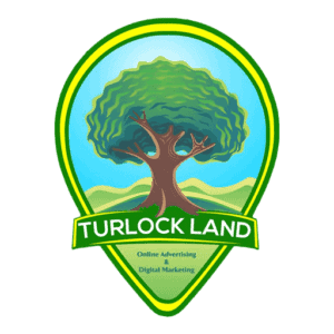 Turlock Land Online Advertising And Digital Marketing Agency 2